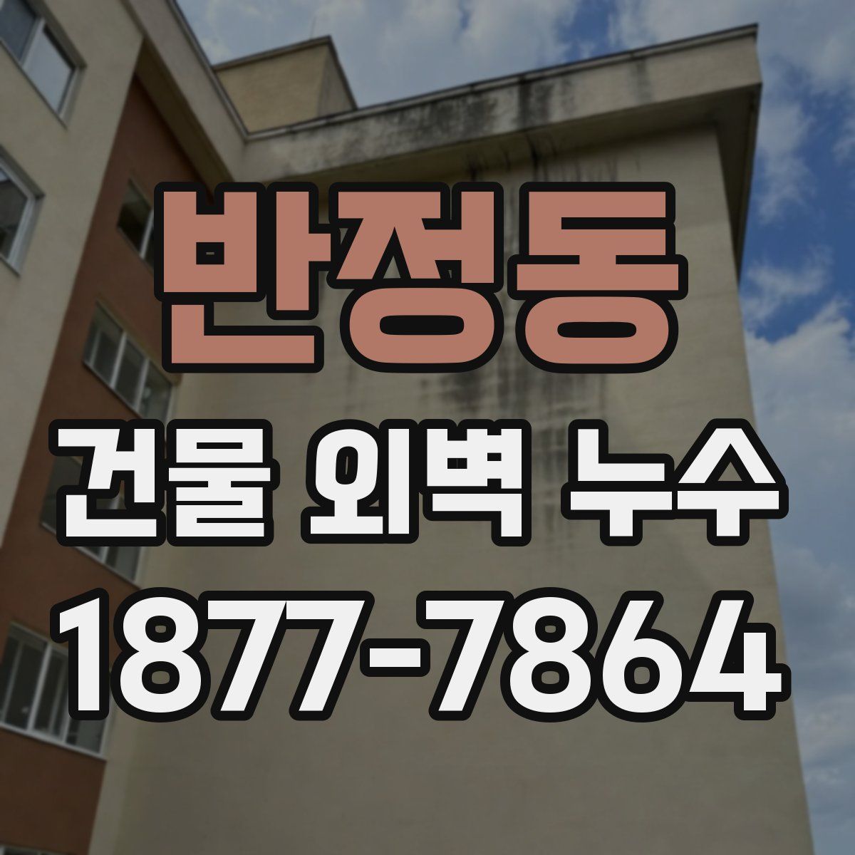 반정동 건물 외벽 누수