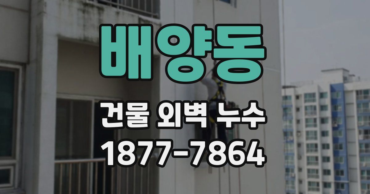 배양동 건물 외벽 누수