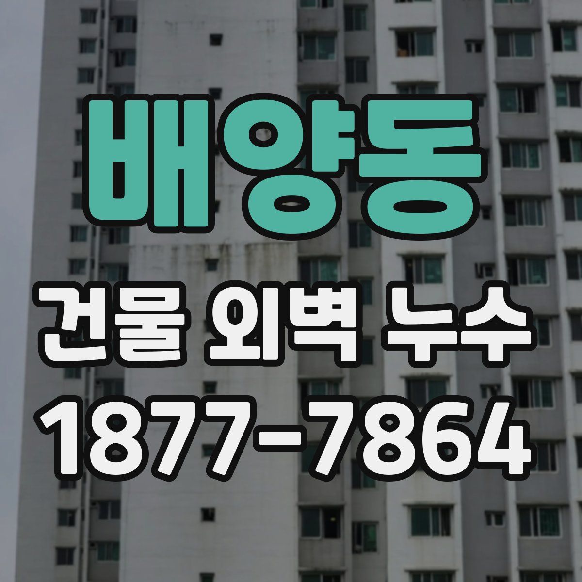 배양동 건물 외벽 누수