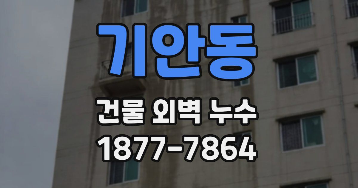 기안동 건물 외벽 누수