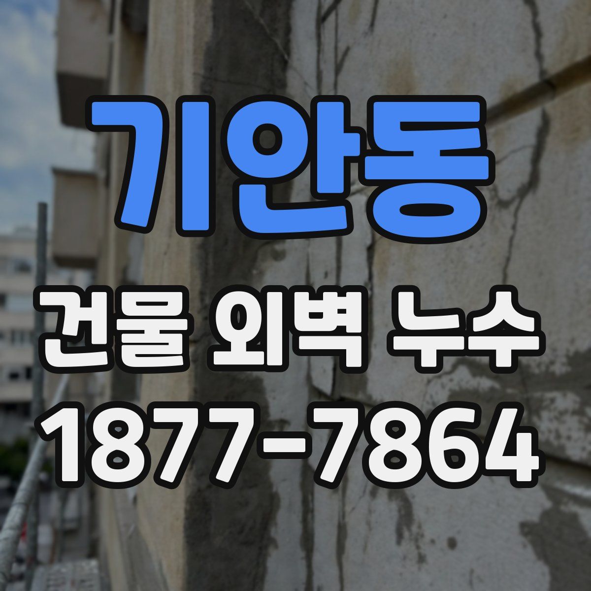 기안동 건물 외벽 누수