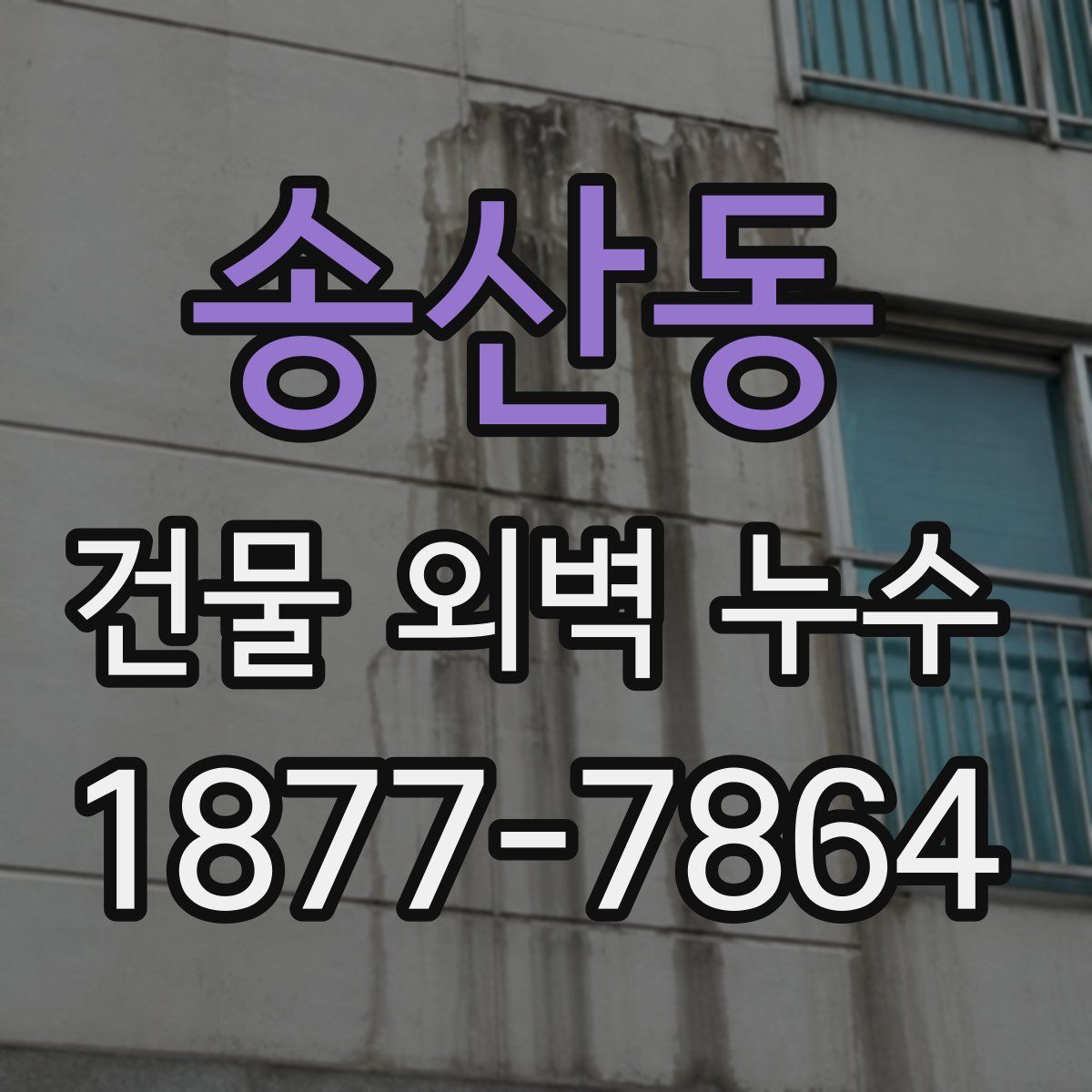 송산동 건물 외벽 누수