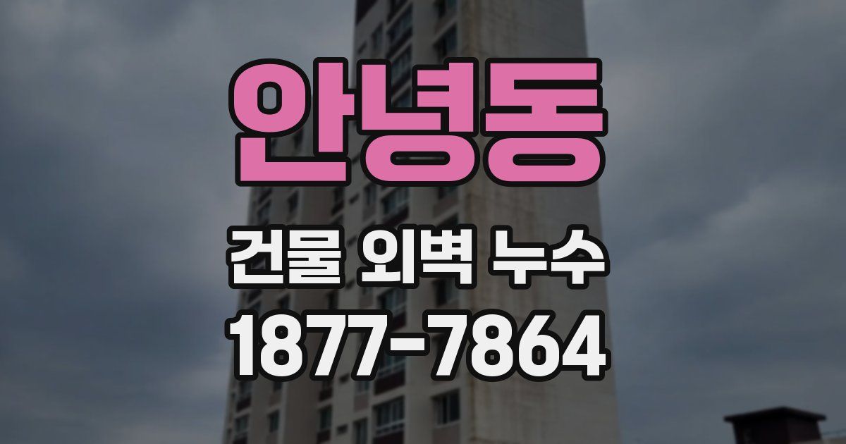 안녕동 건물 외벽 누수