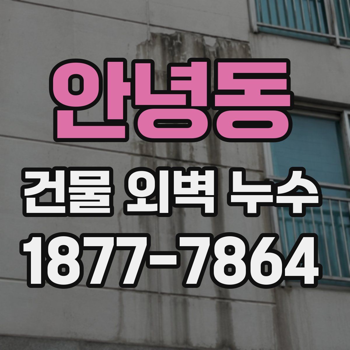 안녕동 건물 외벽 누수