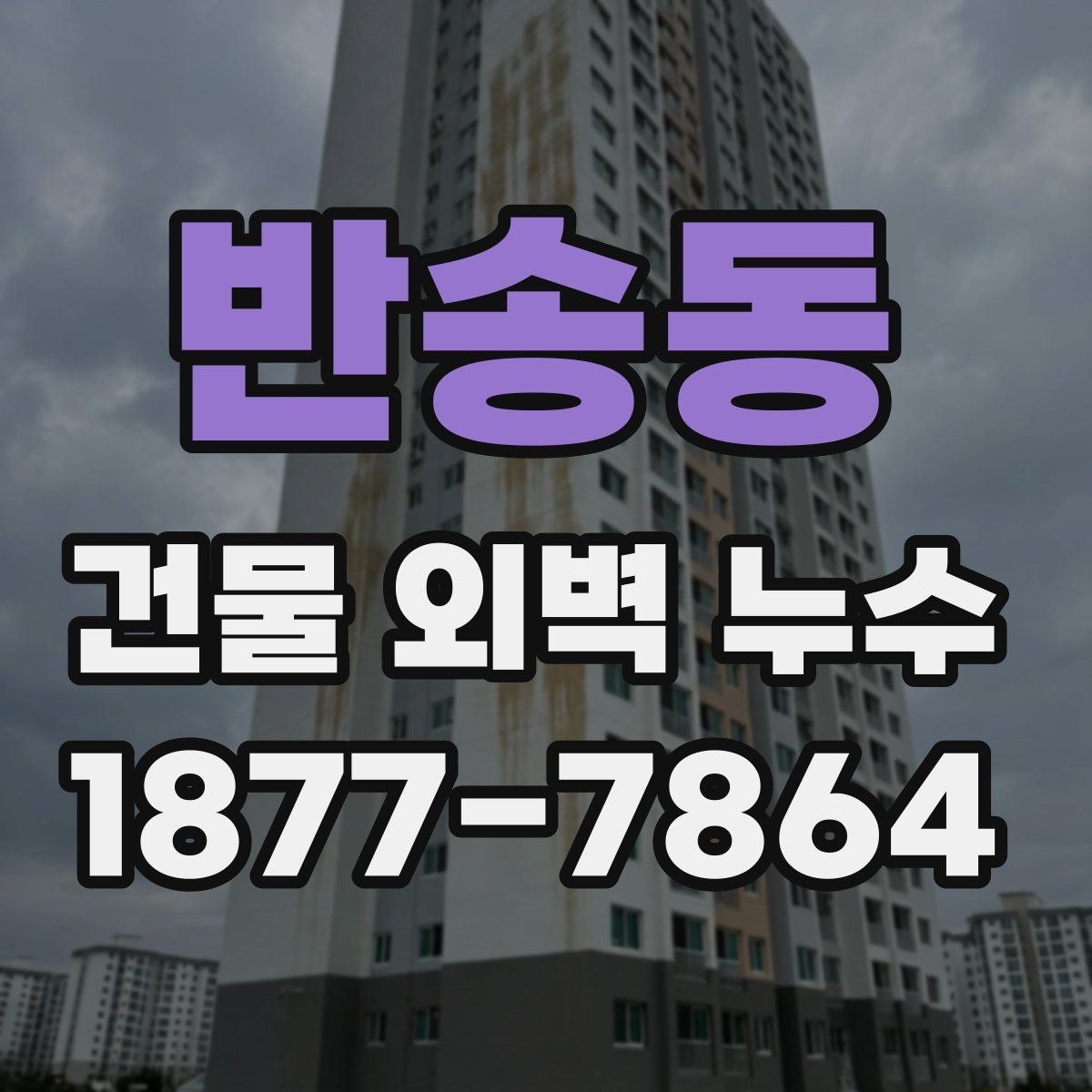 반송동 건물 외벽 누수 점검은 언제 해야 할까