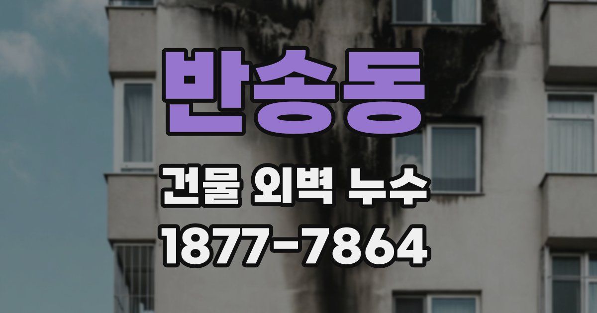 반송동 건물 외벽 누수