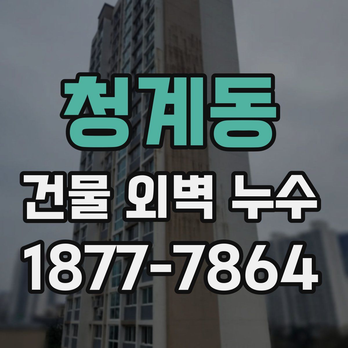 청계동 건물 외벽 누수