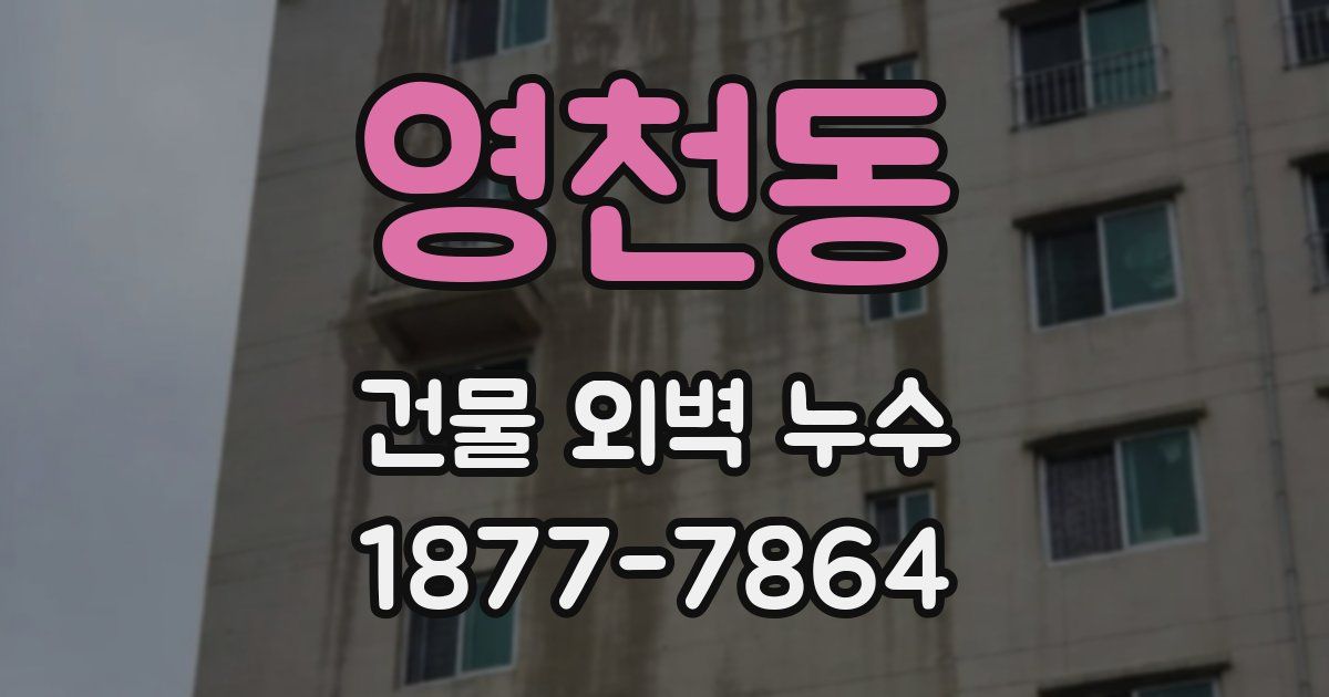 영천동 건물 외벽 누수