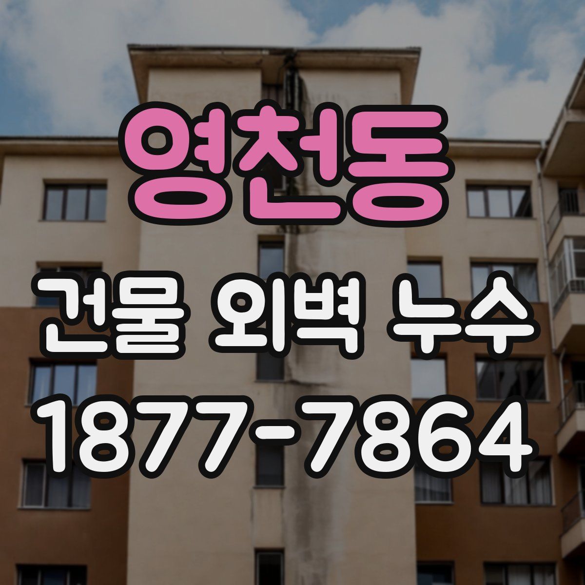 영천동 건물 외벽 누수