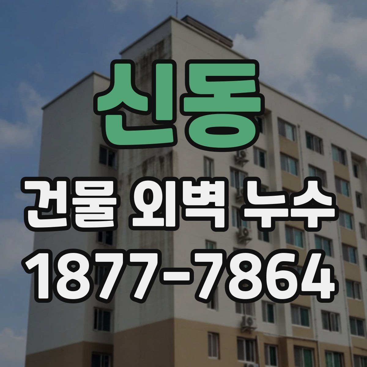 신동 건물 외벽 누수 의심될 때 먼저 볼 곳