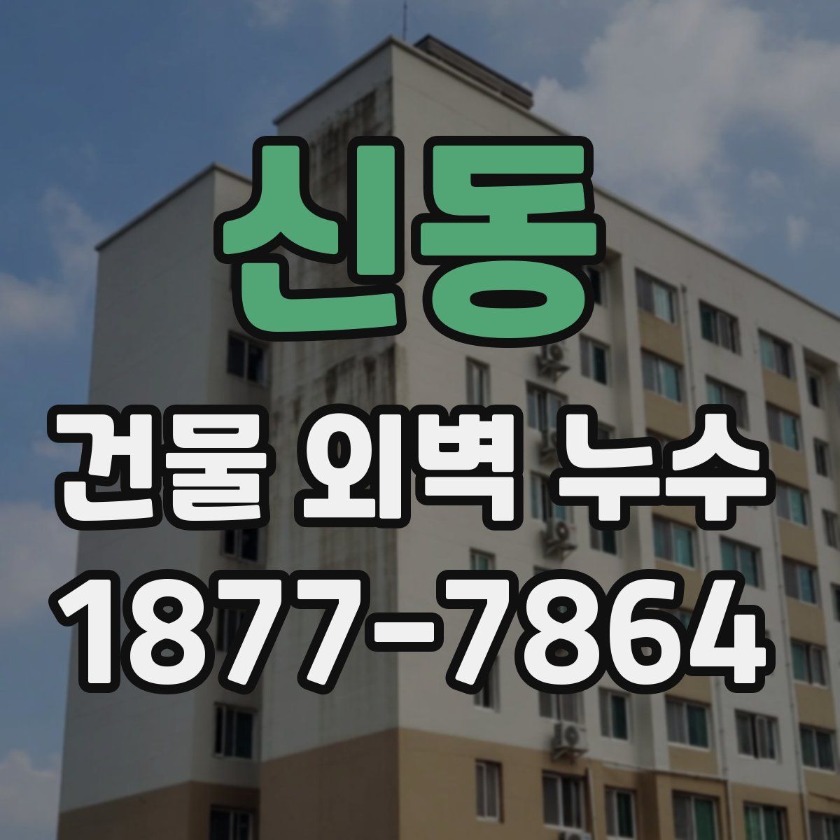 신동 건물 외벽 누수