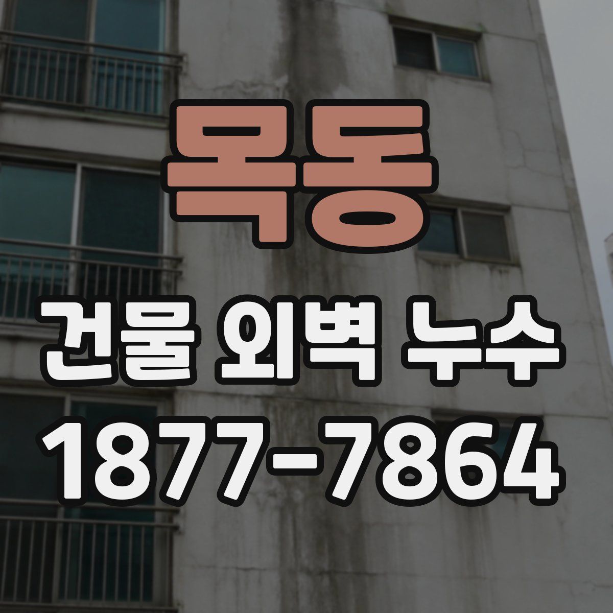 목동 건물 외벽 누수