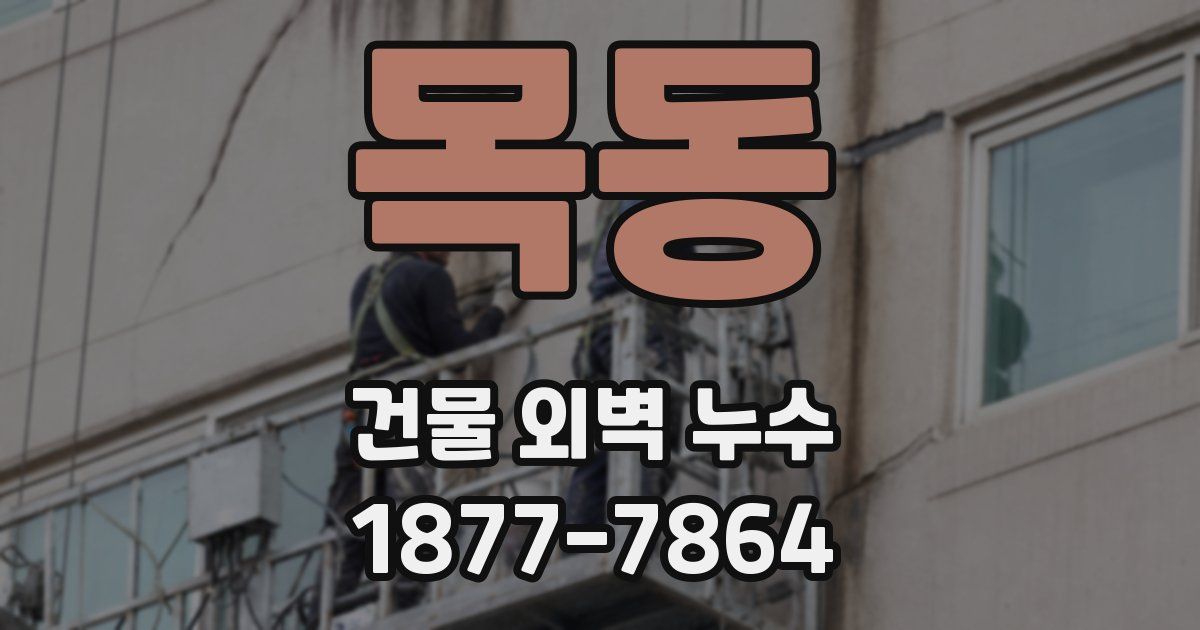 목동 건물 외벽 누수