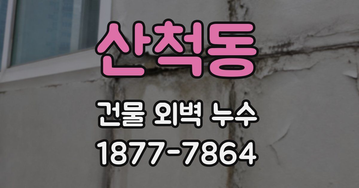 산척동 건물 외벽 누수