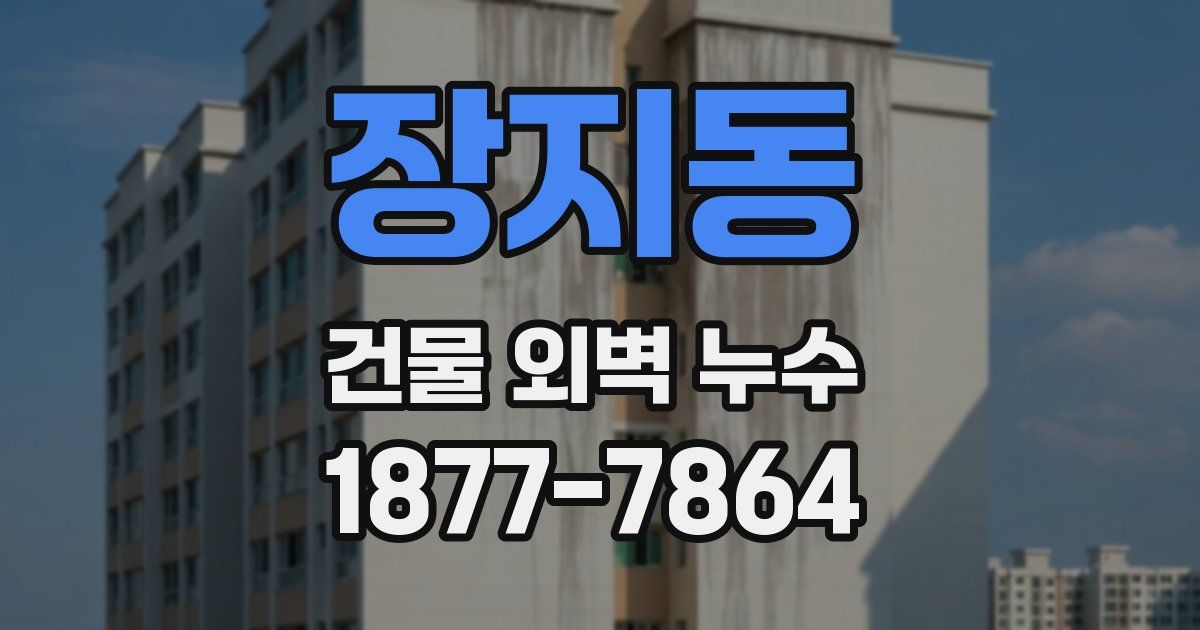 장지동 건물 외벽 누수