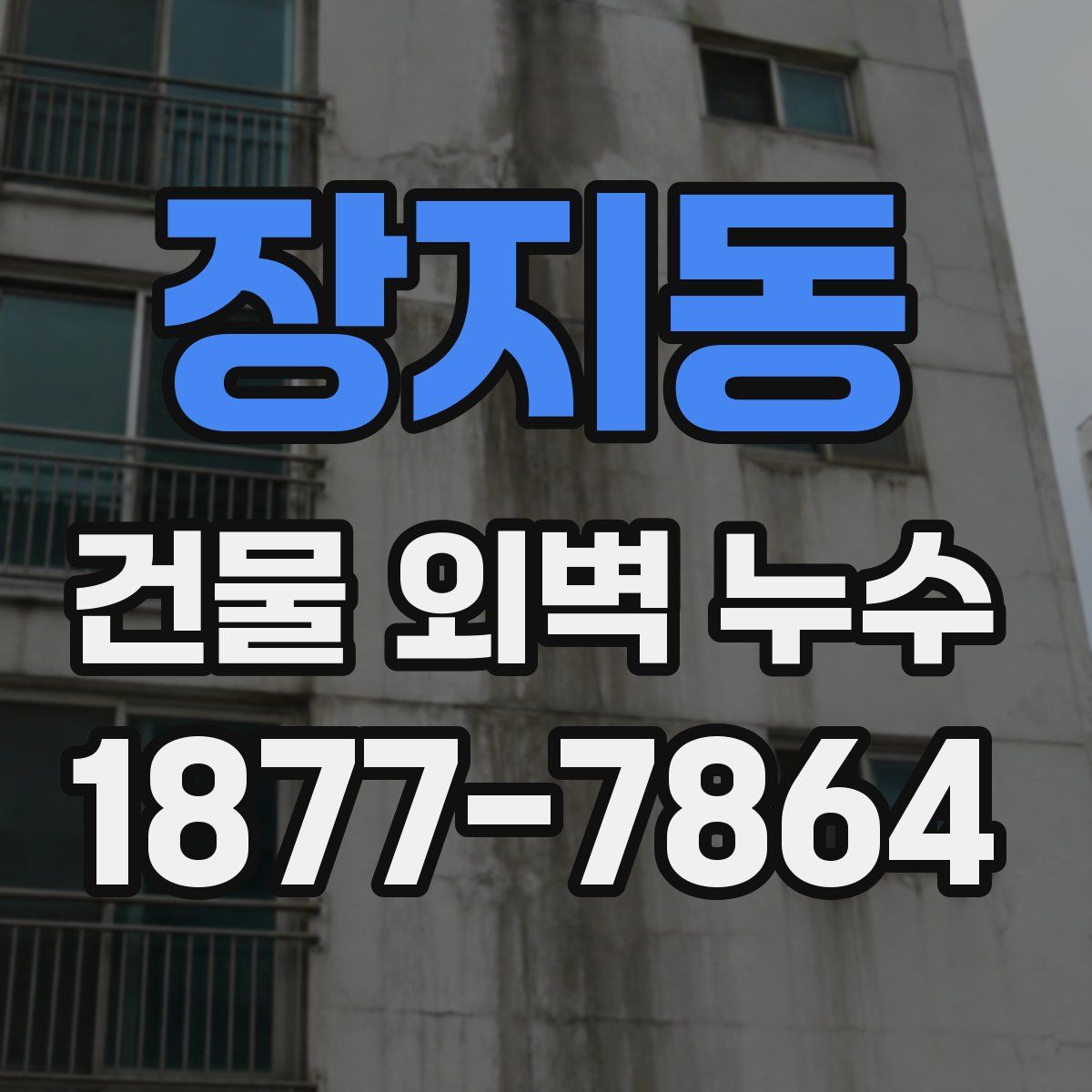장지동 건물 외벽 누수
