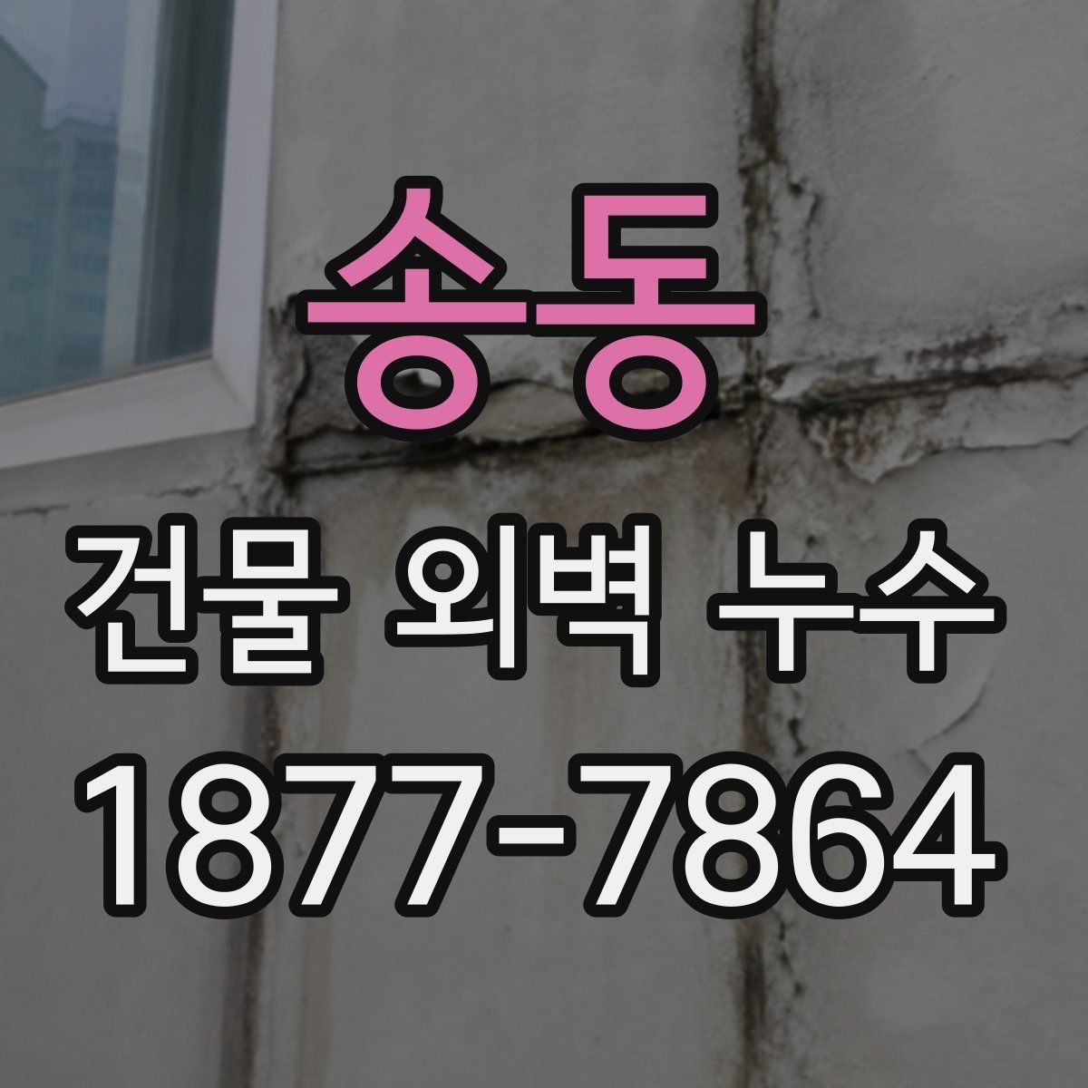 송동 건물 외벽 누수 보수 일정과 진행 순서