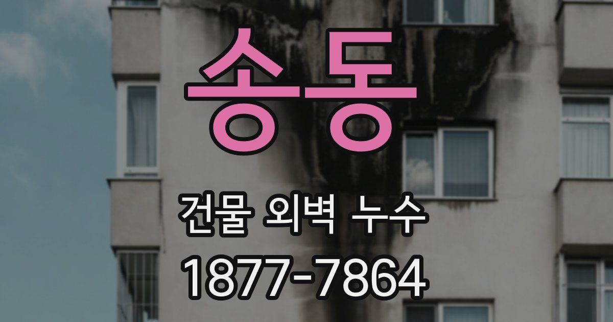 송동 건물 외벽 누수