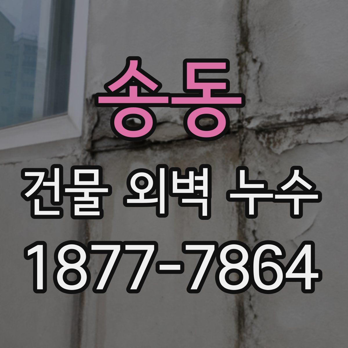 송동 건물 외벽 누수