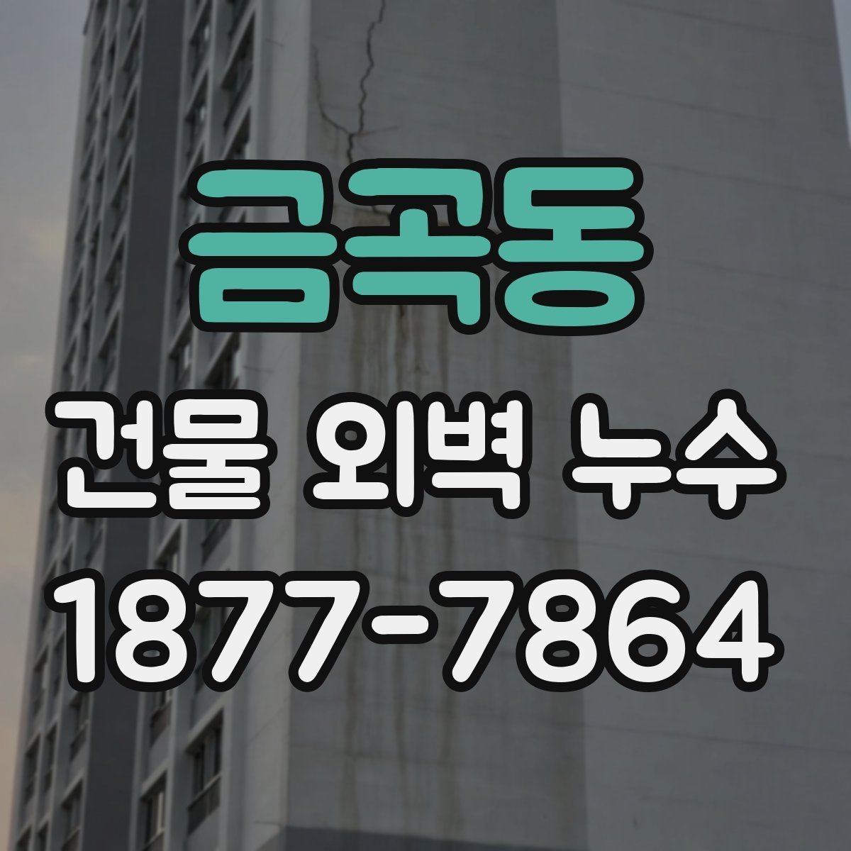 금곡동 건물 외벽 누수 장기 관리에 필요한 항목