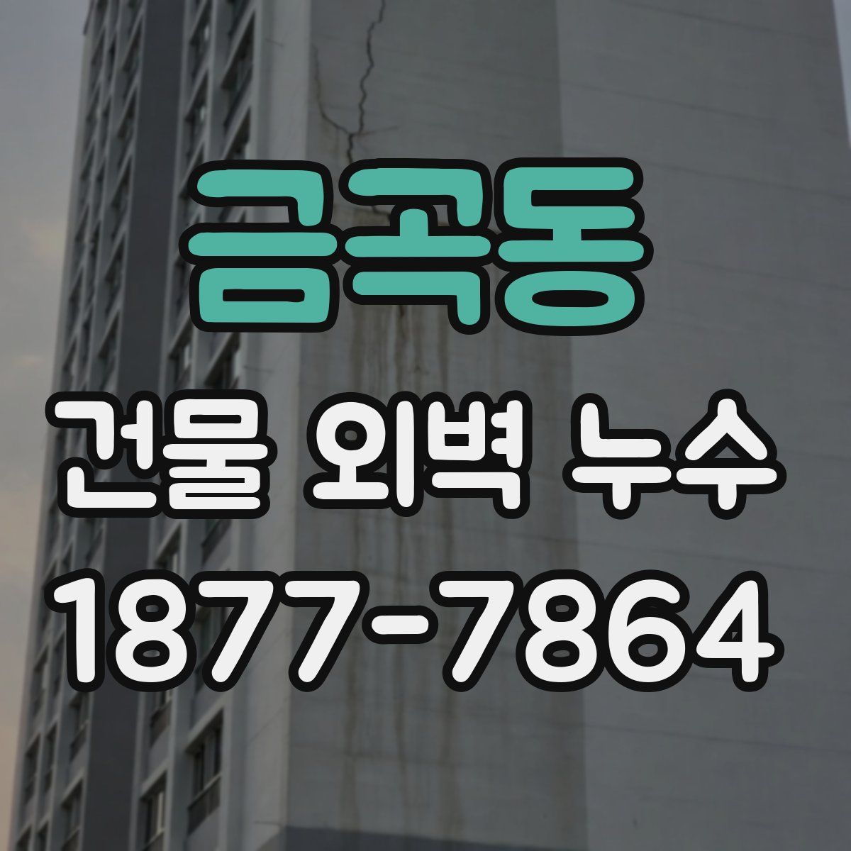 금곡동 건물 외벽 누수