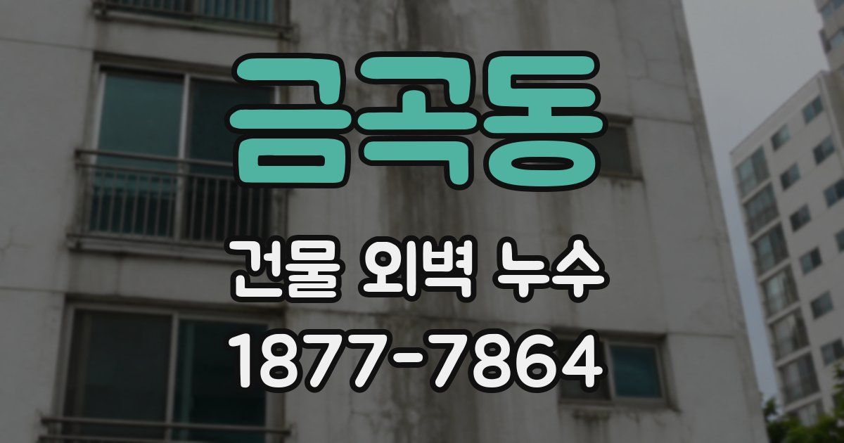 금곡동 건물 외벽 누수
