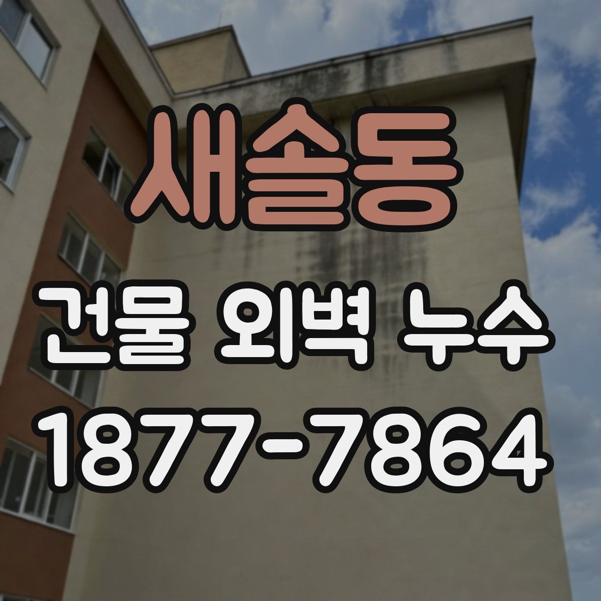 새솔동 건물 외벽 누수
