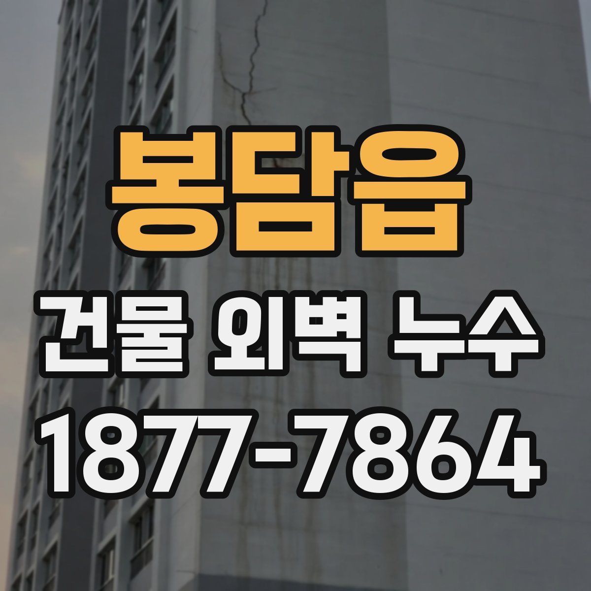 봉담읍 건물 외벽 누수