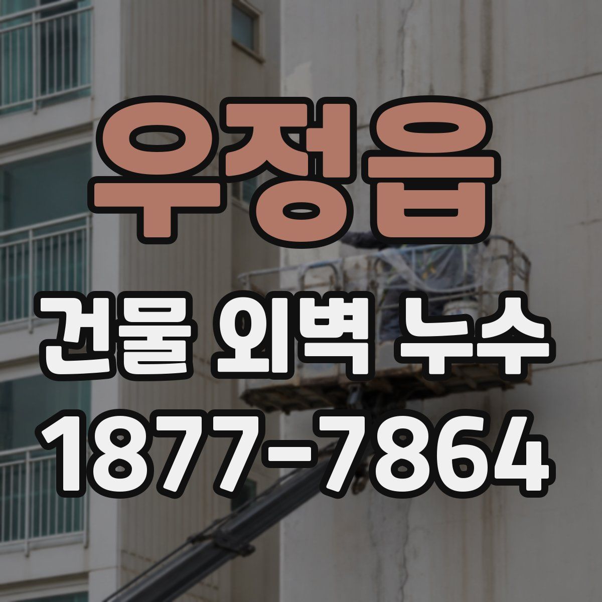 우정읍 건물 외벽 누수