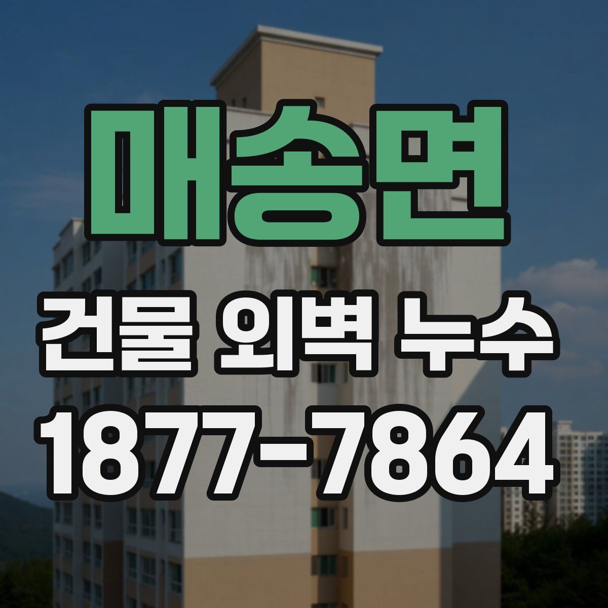 매송면 건물 외벽 누수