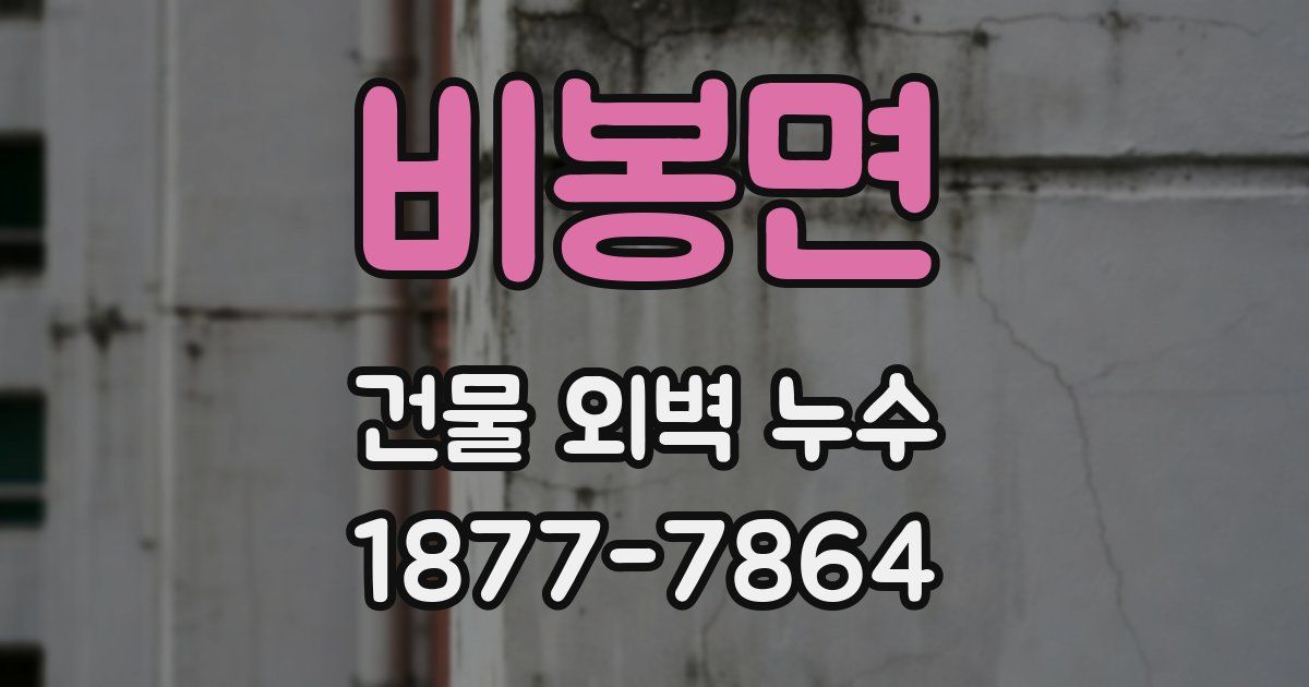 비봉면 건물 외벽 누수