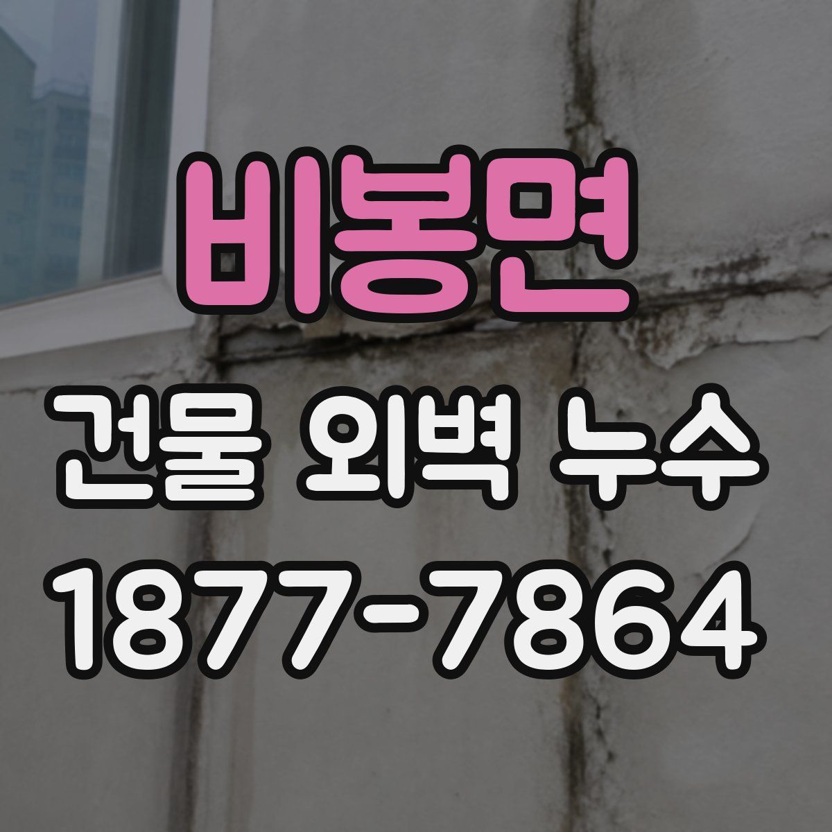 비봉면 건물 외벽 누수