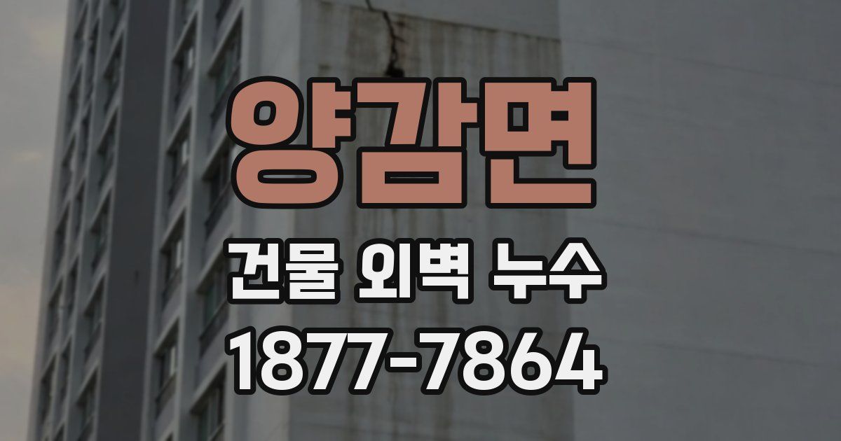 양감면 건물 외벽 누수