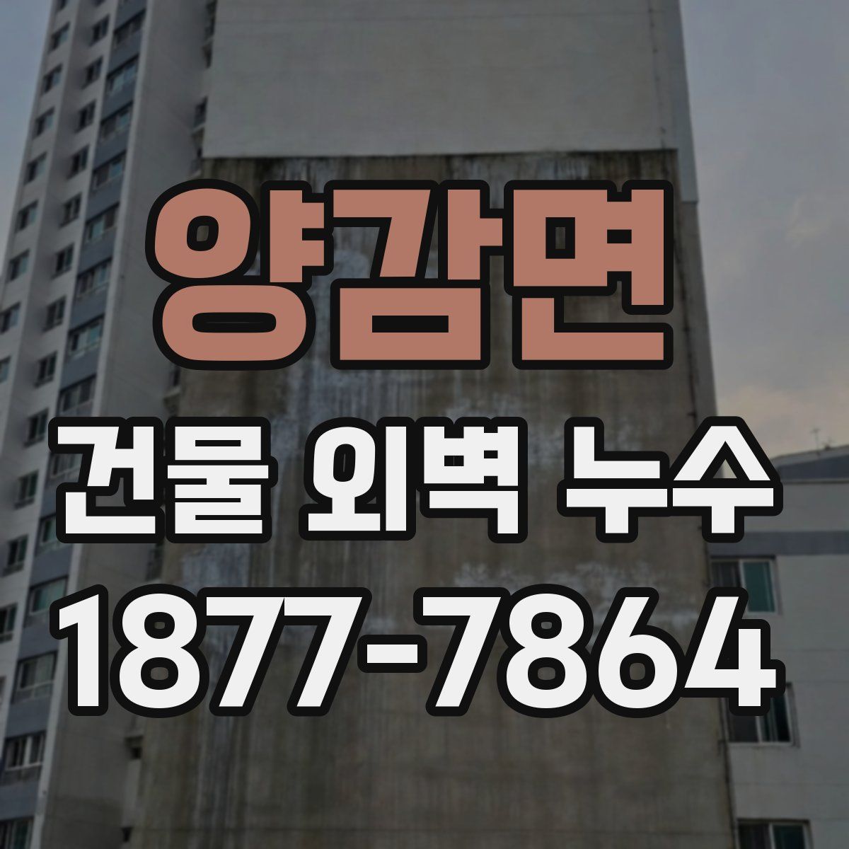 양감면 건물 외벽 누수