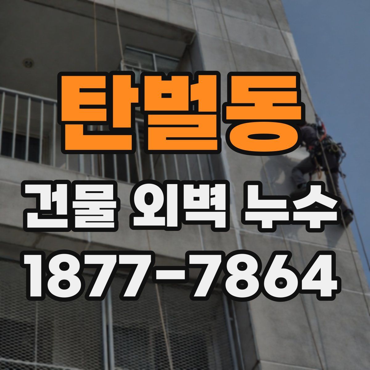 탄벌동 건물 외벽 누수