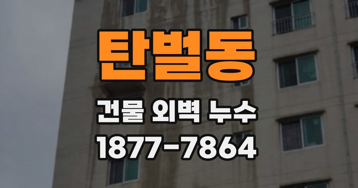탄벌동 건물 외벽 누수
