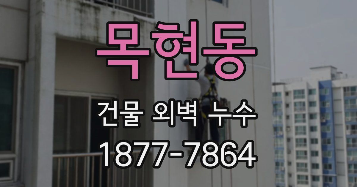 목현동 건물 외벽 누수