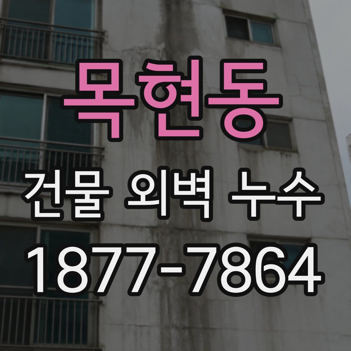 목현동 건물 외벽 누수