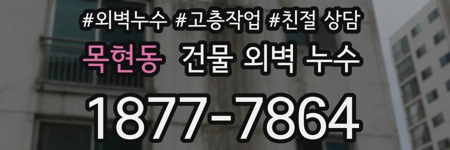목현동 건물 외벽 누수