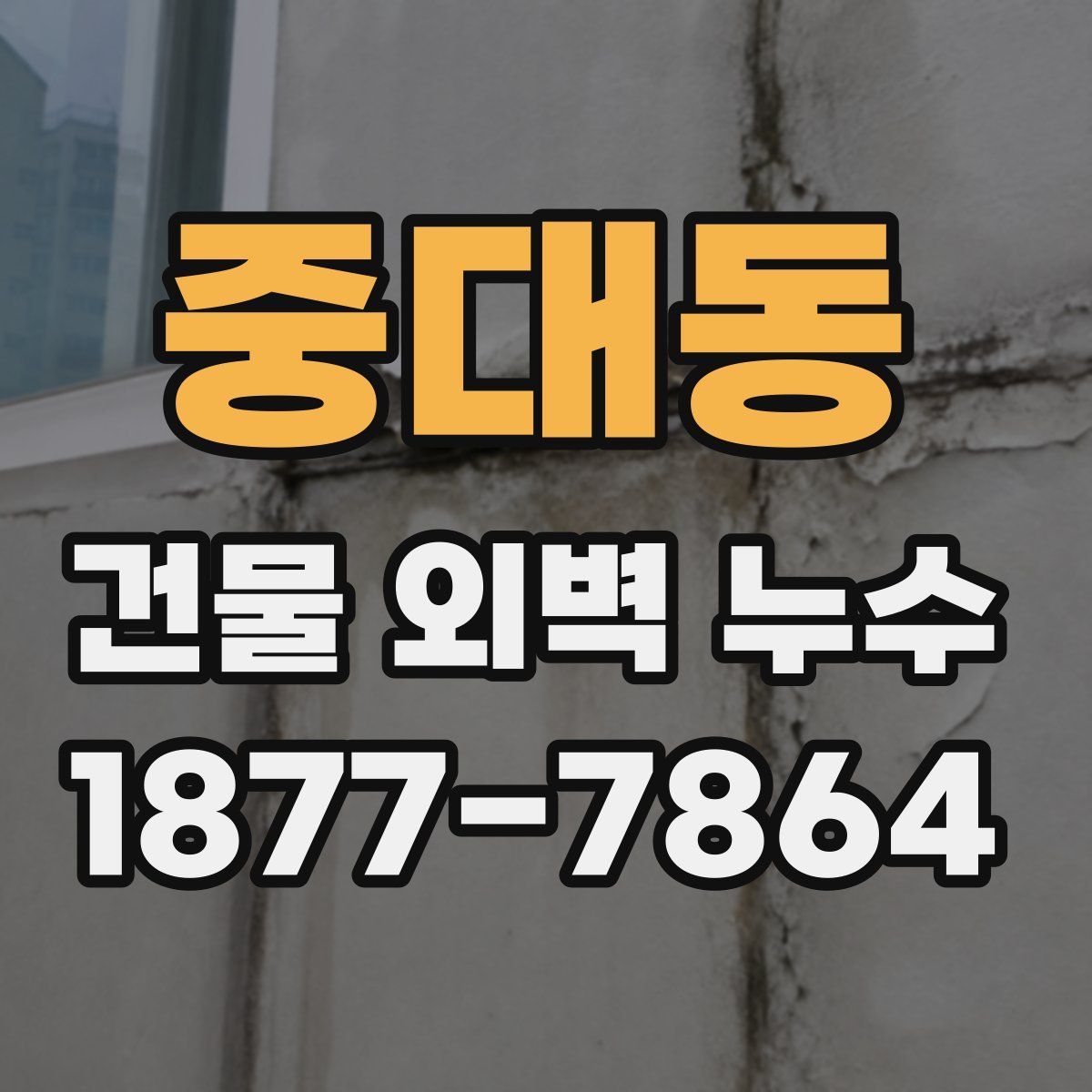 중대동 건물 외벽 누수