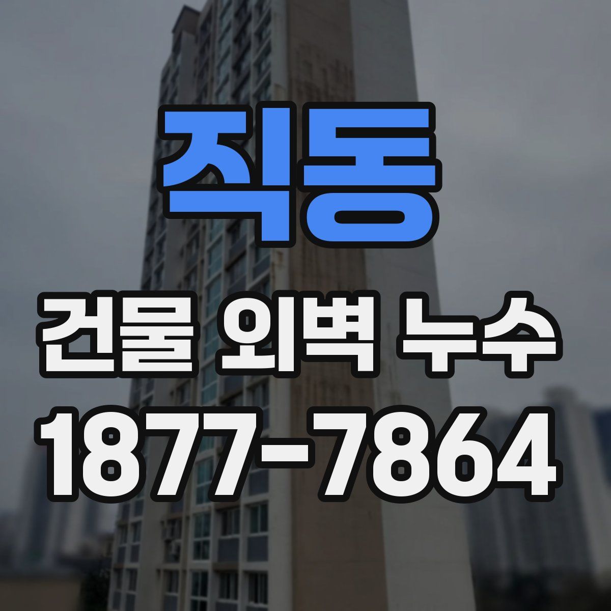 직동 건물 외벽 누수