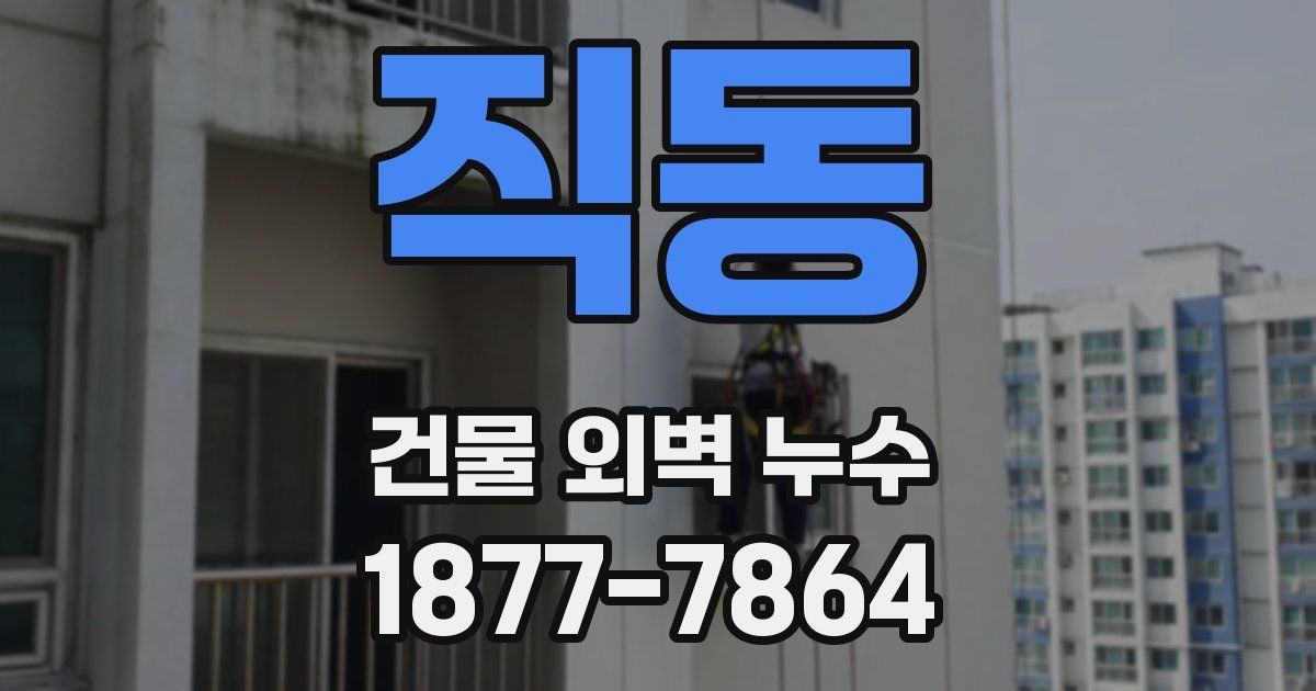 직동 건물 외벽 누수