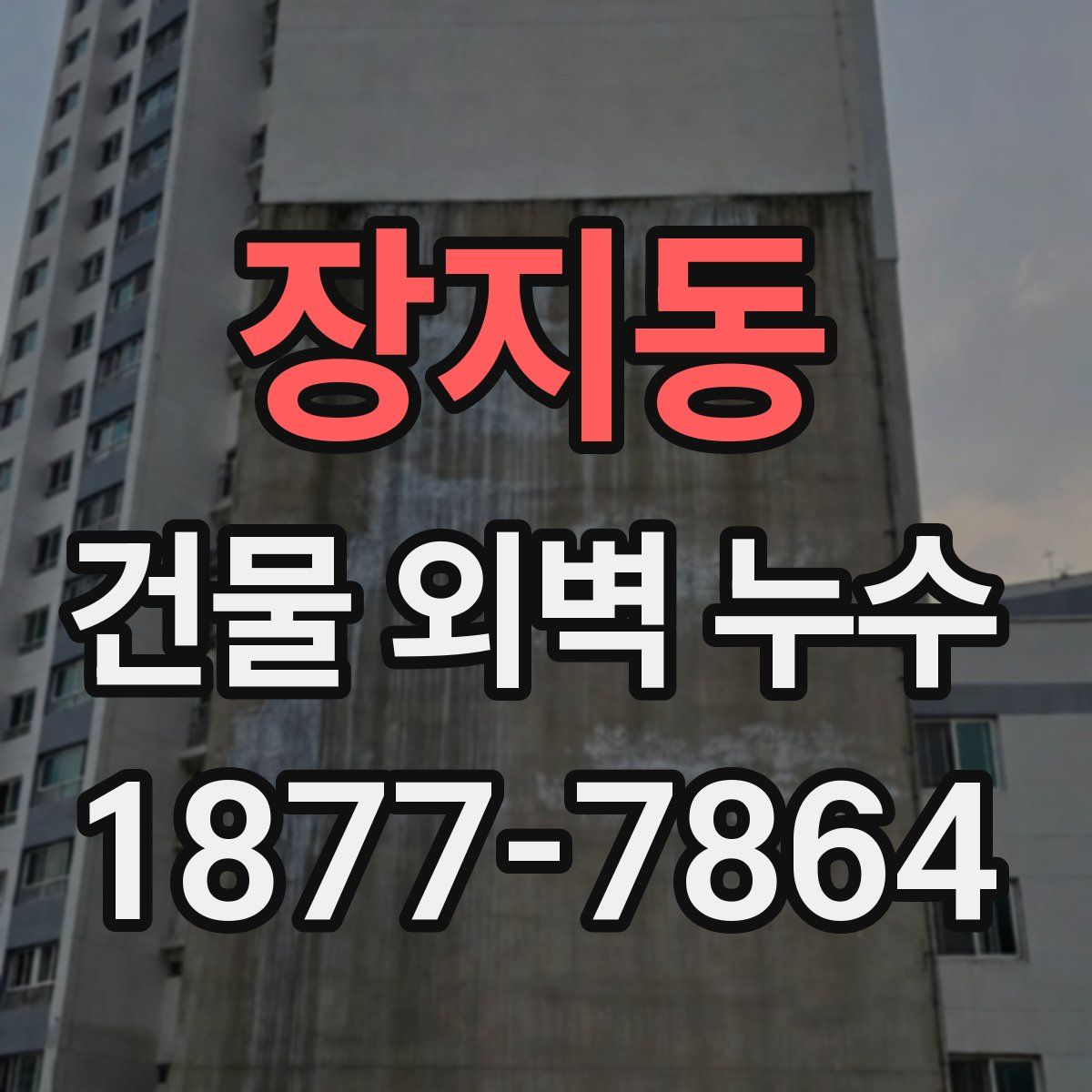 장지동 건물 외벽 누수