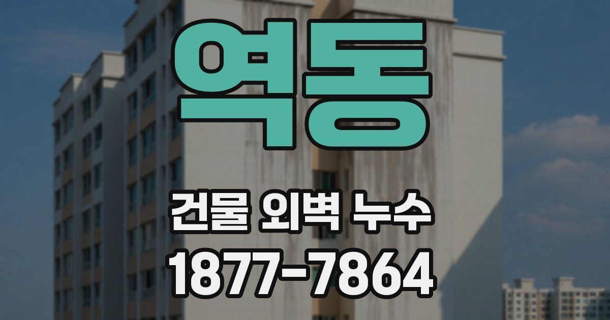 역동 건물 외벽 누수