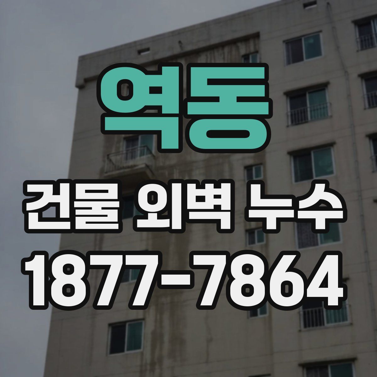 역동 건물 외벽 누수