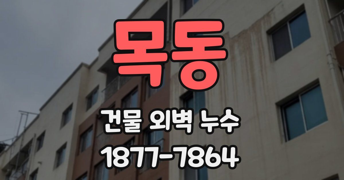 목동 건물 외벽 누수