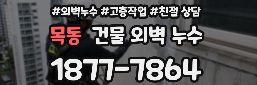목동 건물 외벽 누수