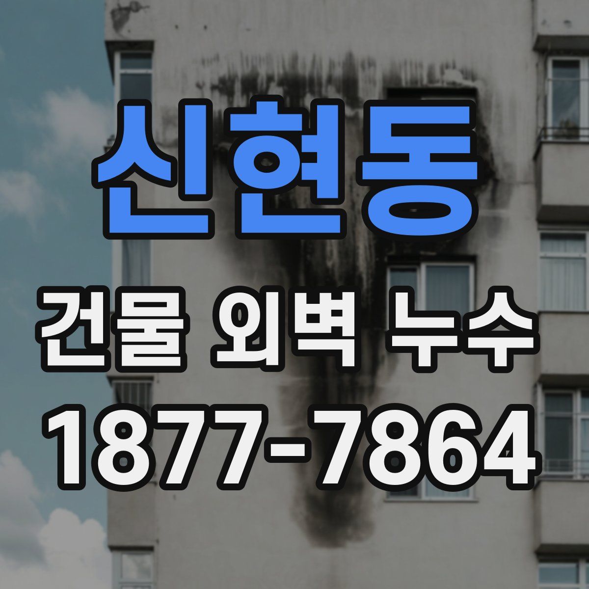 신현동 건물 외벽 누수