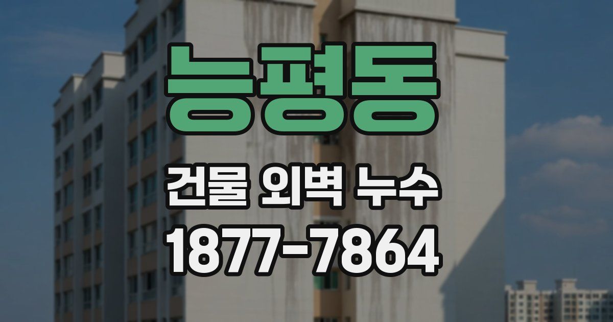 능평동 건물 외벽 누수