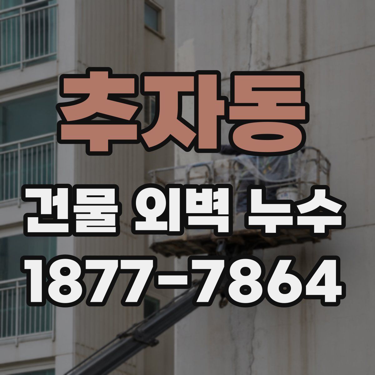추자동 건물 외벽 누수